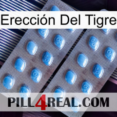 Erección Del Tigre viagra4